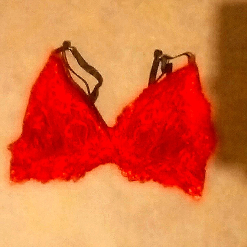 Lacey Bra